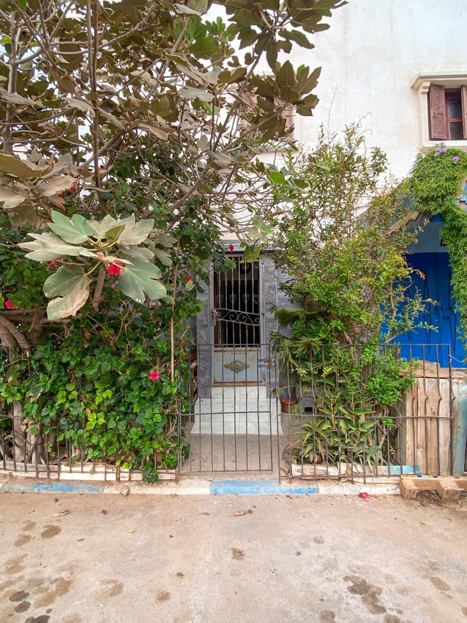 Dallas Private Surf Apartment Agadir Dış mekan fotoğraf